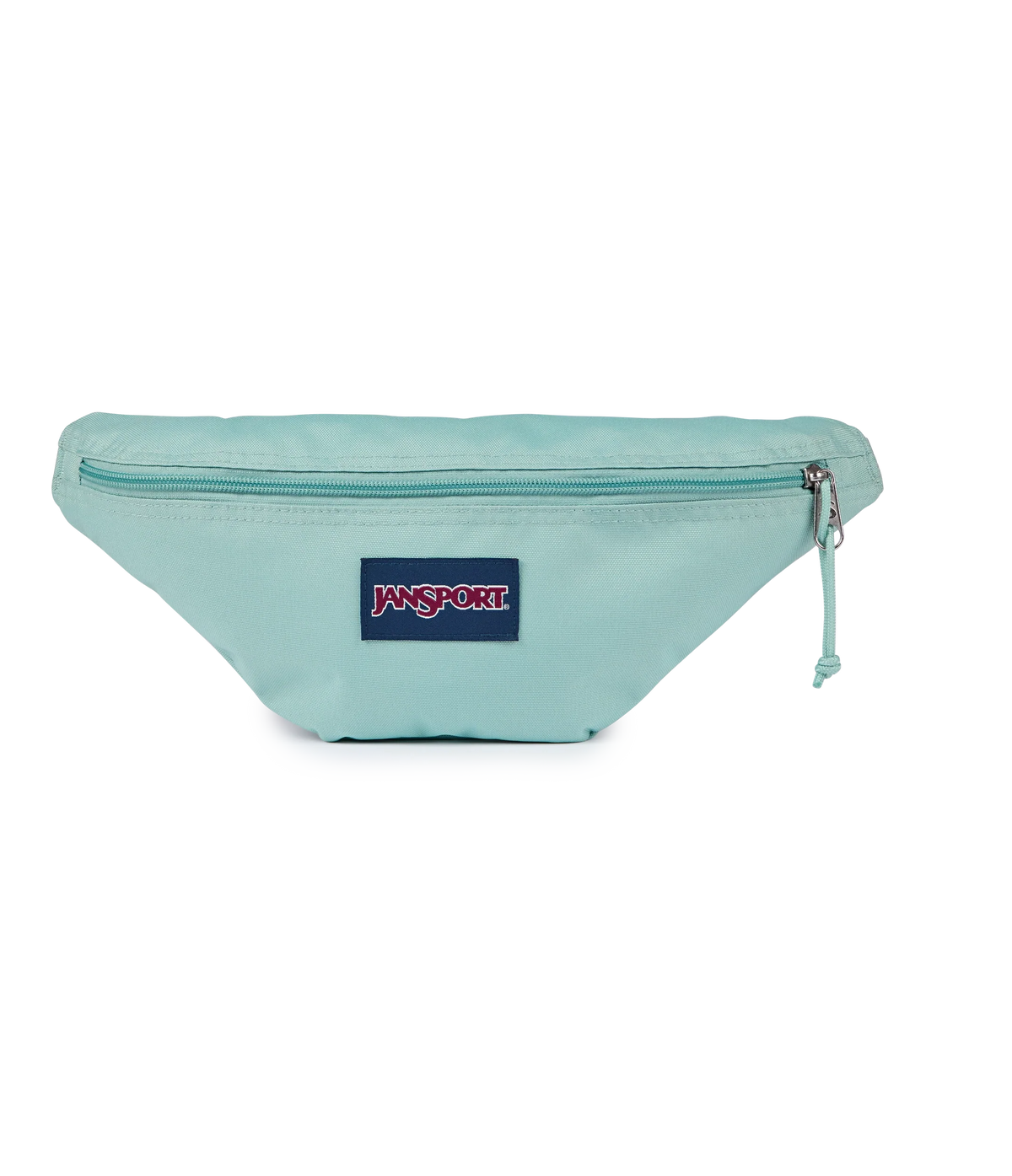 Swing Waistpack